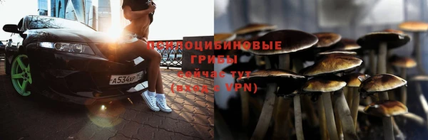 дмт Нефтегорск