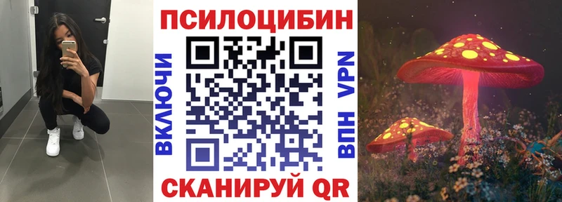 Купить где  Спас-Деменск  Галлюциногенные грибы прущие грибы 